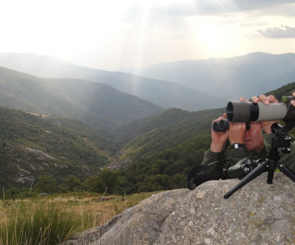 Observación de Aves en el Valle del Jerte