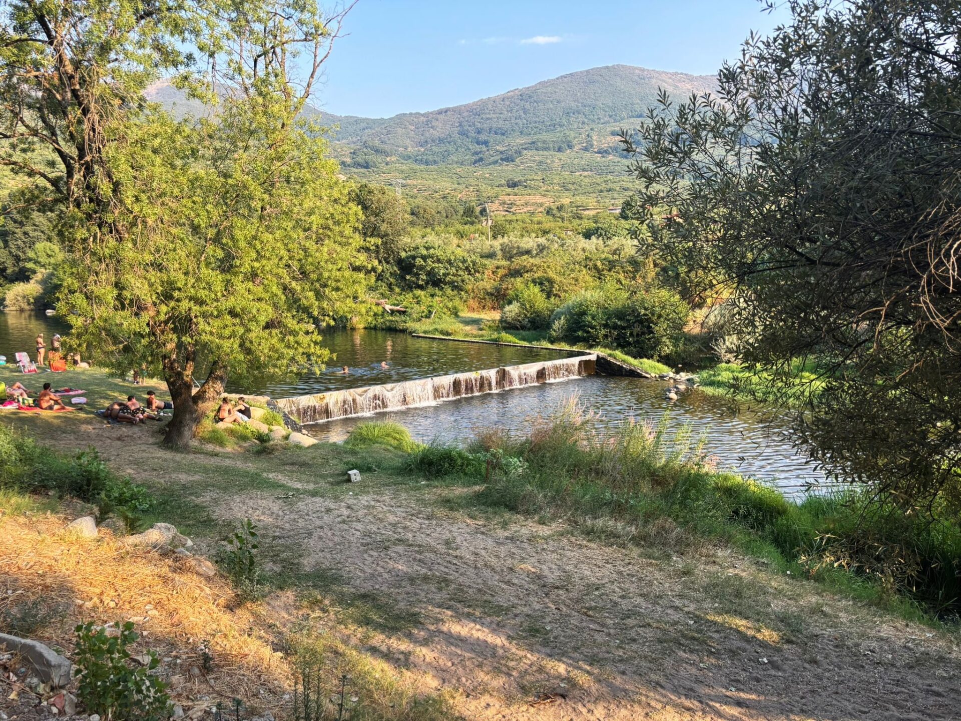 WhatsApp Image 2026 01 20 at 18.55.43