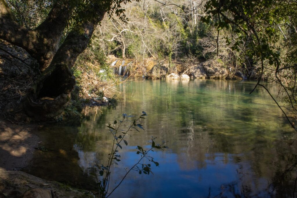 View mountain lake old trees branches bushes rays sun