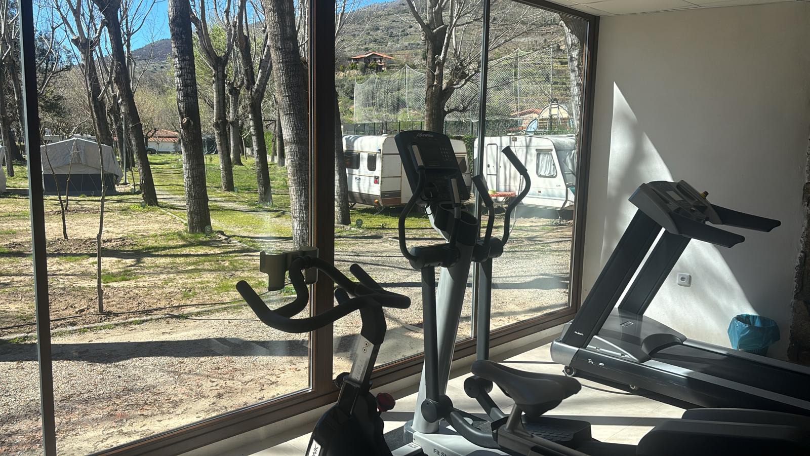 GIMNASIO